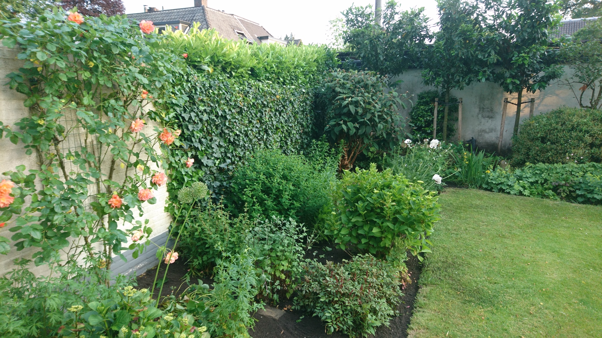 onderhoud